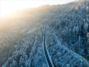 Morning light falls on a winding road in the winter forest from a bird's eye view