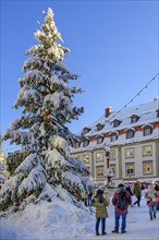 Christmas tree with strollers at the town hall square
