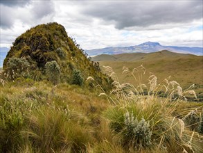 Paramo landscape on the Pasochoa