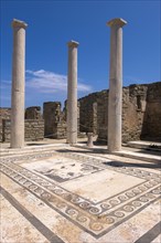 Ruins of the ancient city of Delos