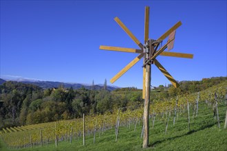 Klapotetz and vineyards