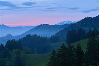 View of wooded hills against snow-covered mountain peaks at dusk with blue-pink sky