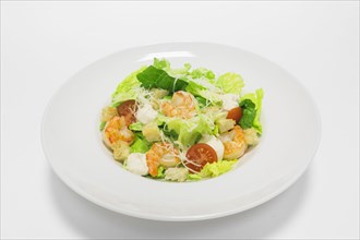 Gourmet salad with tiger prawns