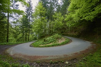 A road makes a sharp bend or turn in the middle of a green forest