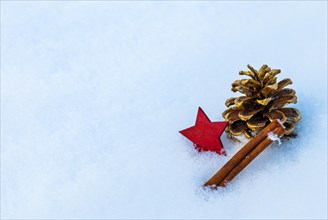 A pine cone or fir cone with gold colour and a cinnamon stick lying on snow next to a red star