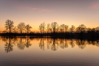 Autumn landscape with trees reflected in the water at sunset. Autumn landscape. Bas-Rhin