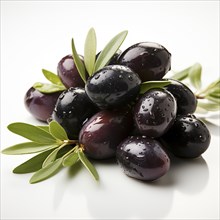Saftige schwarze und gruene Oliven mit Wassertropfen auf frischen Blaettern