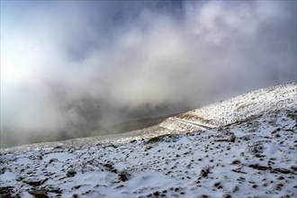 Full blizzard in the mountains of sierra nevada