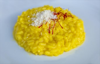 Plate with Risotto alla Milanese with Saffron and Parmesan Cheese in Lugano