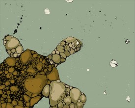 Sea turtle grunge vector illustration