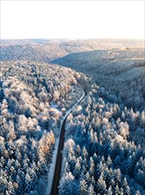Snowy road winds through a wintry forest