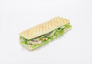 Gourmet panini with chicken breast