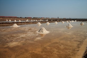 A salt farm with neat piles of harvested salt