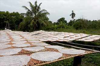 Rice paper for rice noodles being dried