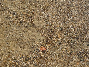 Brown pebble texture background