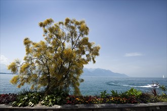 Lake Geneva promenade