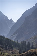 Steep mountains in the Ala Archa valley