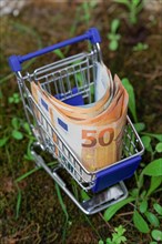 Metal shopping cart on wheels full of euro banknotes in a grassy field meadow