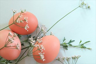 Pastel pink Easter eggs decorated with delicate white flowers on a pale green surface