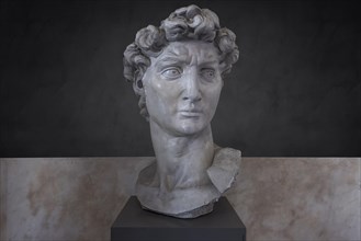 Bust modelled on the original in marble by Michelangelo by an unknown 19th century artist