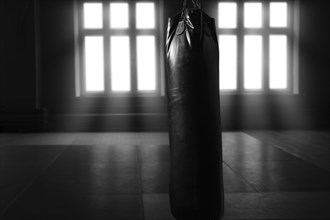 Sports arena for boxing