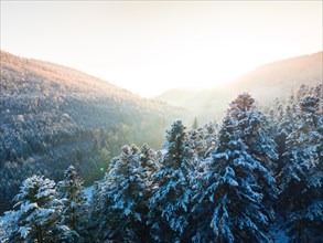 The rising sun bathes the snow-covered forest and mountains in a golden light