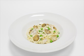 Gourmet pasta with chicken breast