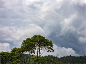 Dark clouds over the Amazon rainforest