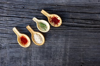 Species in Spoon Like Saffron and Parmesan Cheese and Rosemary on a Wood Table with Sunlight in Switzerland