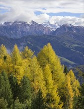 Mountains of the Fanes nature park Park and autumnal larch forest