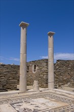 Ruins of the ancient city of Delos