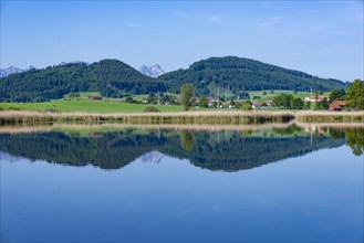 Panorama at Schmutterweiher