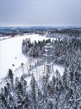 Bird's eye view of observation tower in wintry forest in cloudy weather