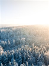 Aerial view of a frosty forest in winter