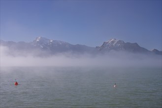 Morning atmosphere at Forggensee