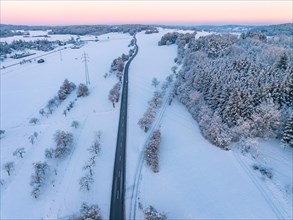 Snow-covered road winds through a quiet forest at dusk