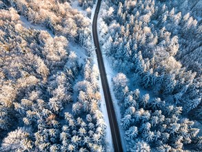 Aerial view of a snowy