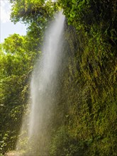 Cascada Hola Vida waterfall in the Amazon rainforest