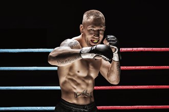 Mixed martial artist posing in boxing ring. Concept of mma