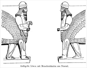 Two winged lions with human hands from Nimrud