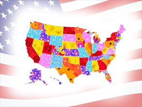 The USA as a map with the individual states in different flowers with the US flag as a background