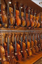 Violins from violin maker Rainer Leonhardt