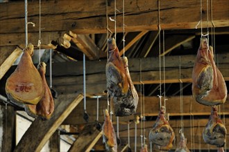 Hams hanging from the ceiling inside the Groot Vleeshuis