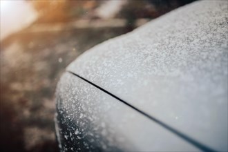 Snow on the car body