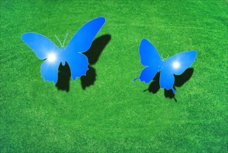 Two butterflies over a green meadow