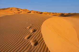 People's footsteps in sand dune of Erg Chebbi in the Sahara Desert near Merzouga