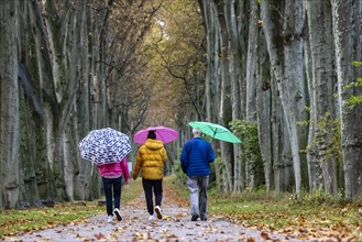 Autumn walk with umbrella in rainy weather