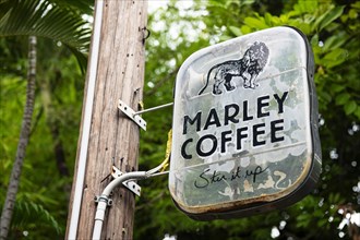 Cafe at the Bob Marley Museum