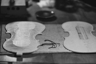 Front and back plates of new raw handmade classic violin on a workbench in violinmaker artisan workshop and purfling fillet made of evony and ivory or pear wood ready to be inserted in the carved all ...