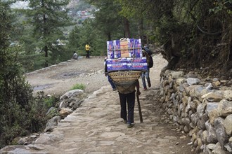 Nepali porter on the Everest Base Camp trekking route